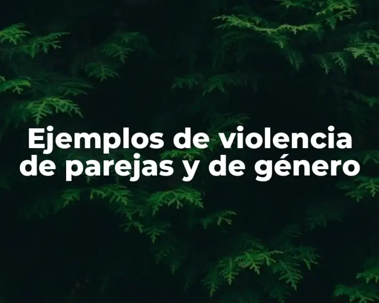 Ejemplos de violencia de parejas y de género