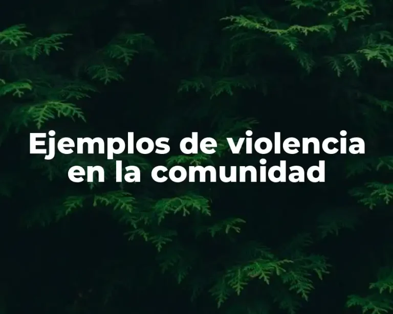 Ejemplos de violencia en la comunidad
