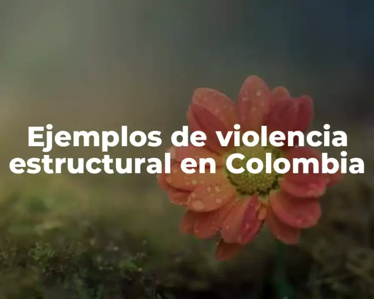 Ejemplos de violencia estructural en Colombia