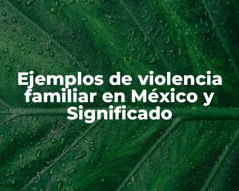 Ejemplos de violencia familiar en México y Significado