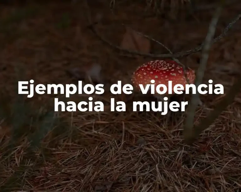 Ejemplos de violencia hacia la mujer