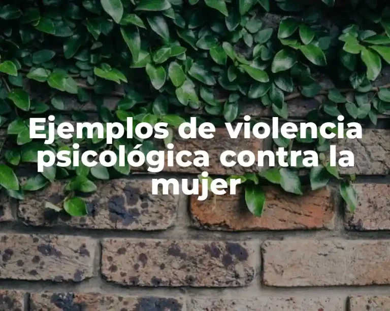 Ejemplos de violencia psicológica contra la mujer