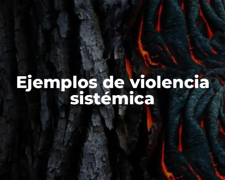 Ejemplos de violencia sistémica