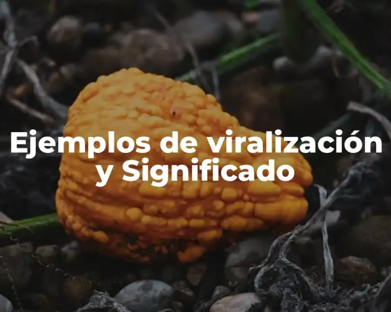 Ejemplos de viralización y Significado