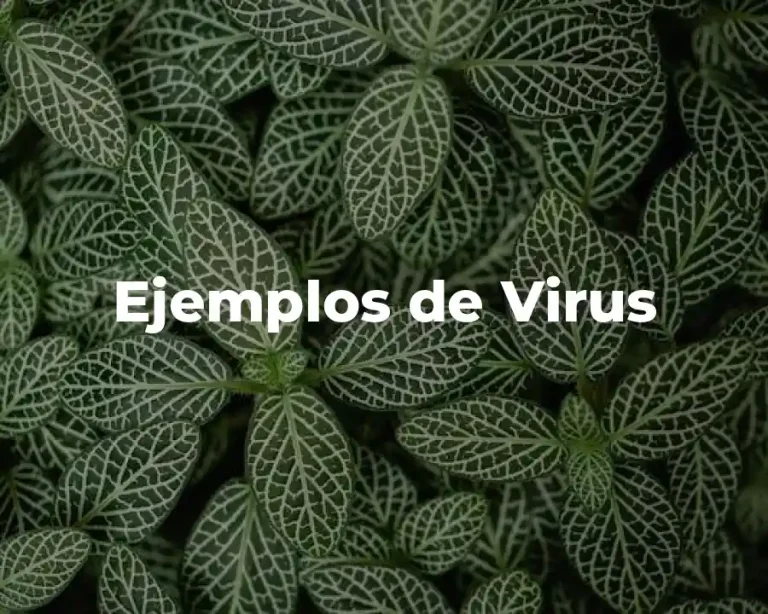 Ejemplos de Virus