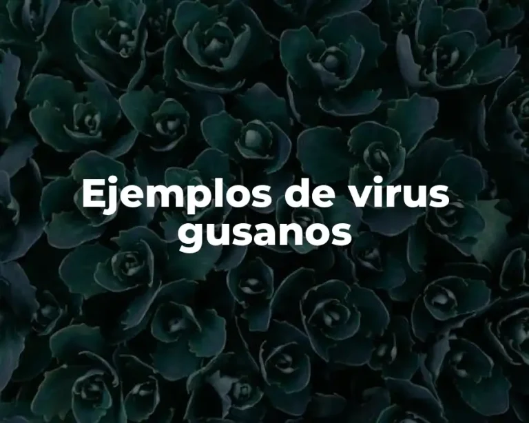 Ejemplos de virus gusanos