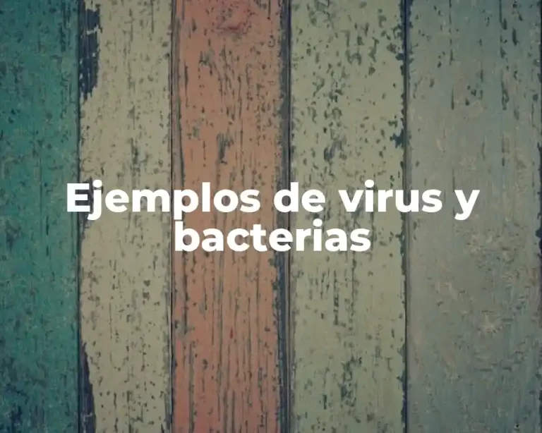 Ejemplos de virus y bacterias