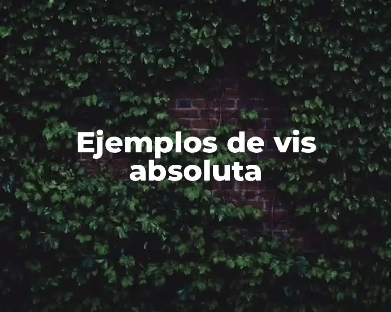 Ejemplos de vis absoluta