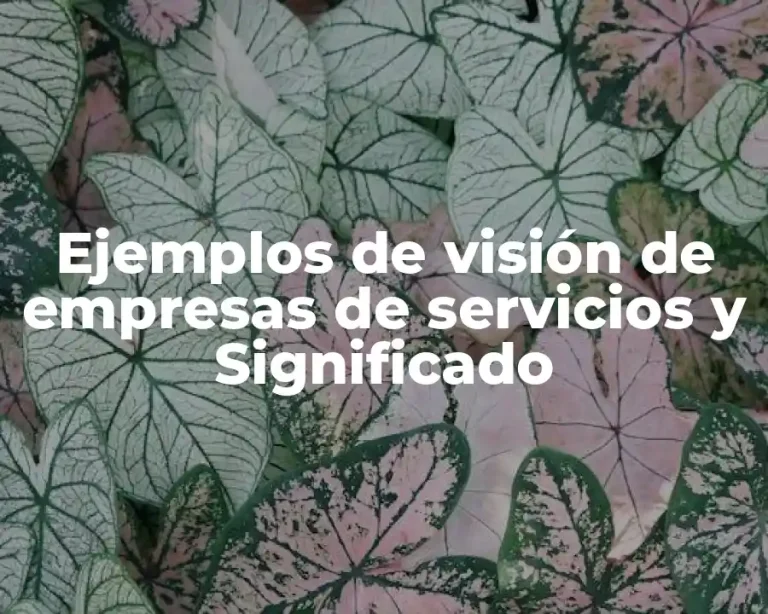 Ejemplos de visión de empresas de servicios y Significado