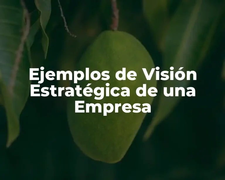 Ejemplos de Visión Estratégica de una Empresa