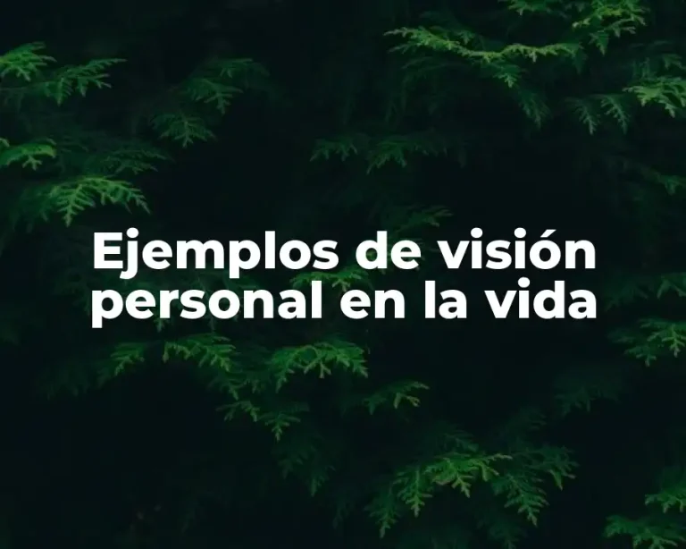 Ejemplos de visión personal en la vida