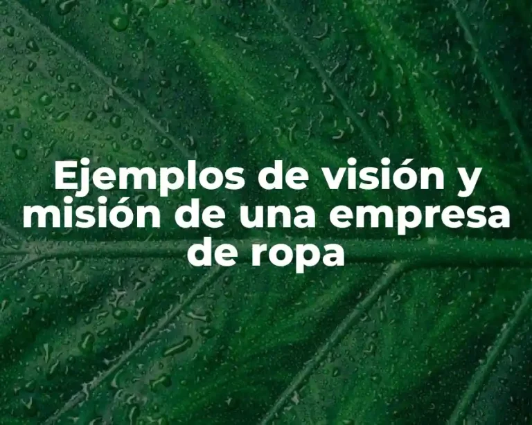 Ejemplos de visión y misión de una empresa de ropa