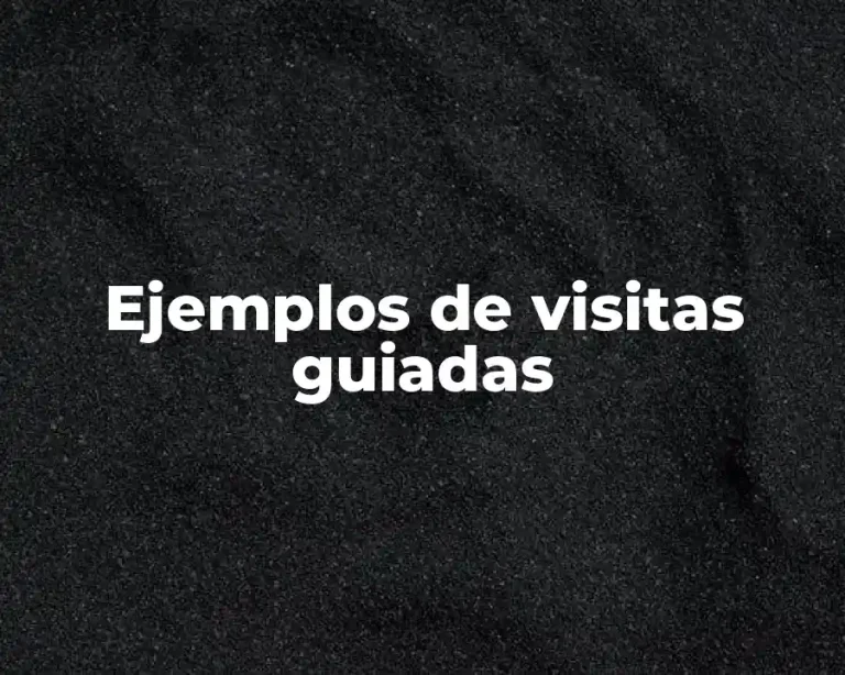 Ejemplos de visitas guiadas