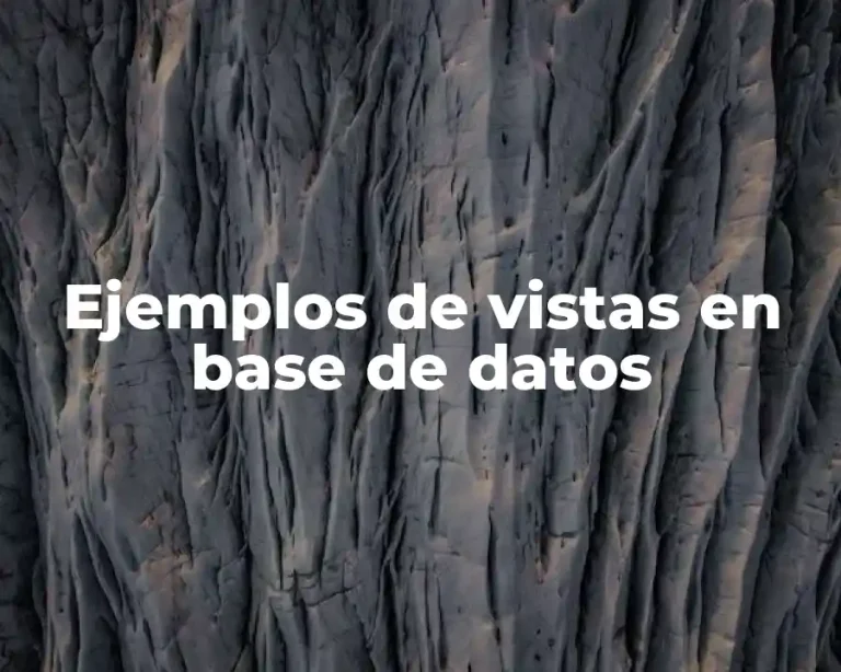 Ejemplos de vistas en base de datos