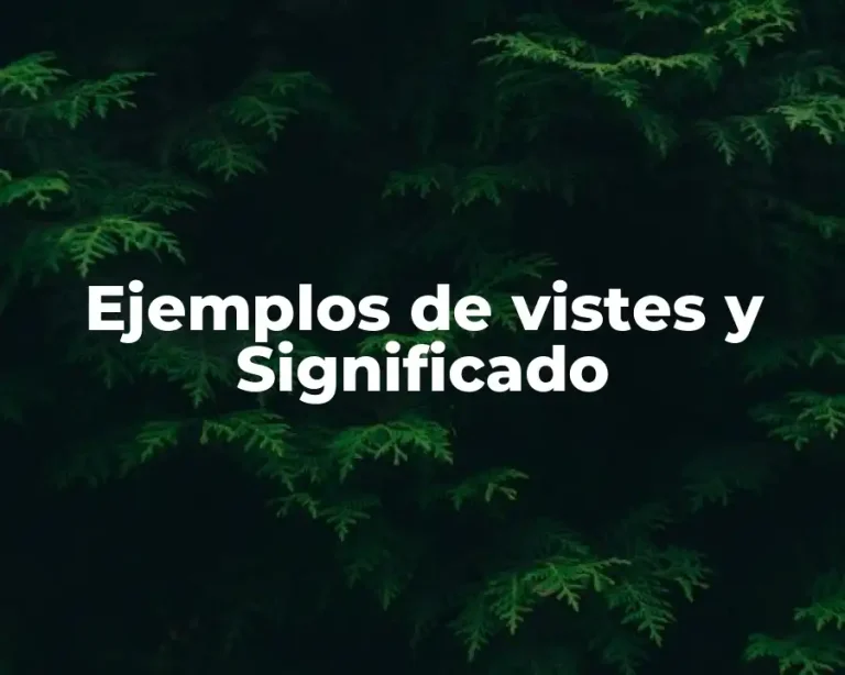 Ejemplos de vistes y Significado