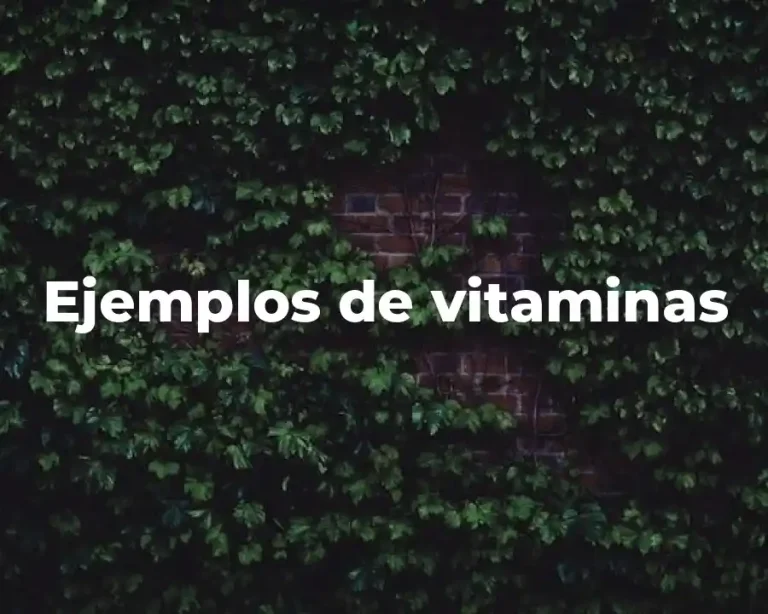 Ejemplos de vitaminas