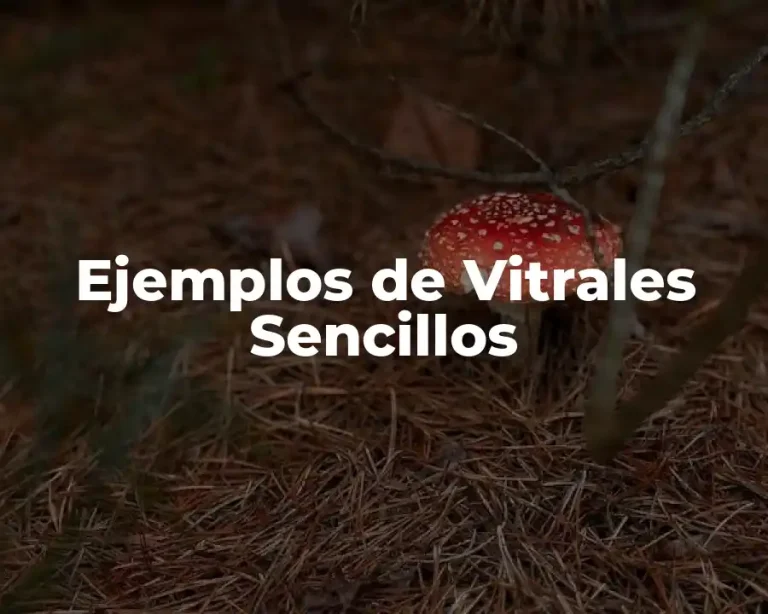 Ejemplos de Vitrales Sencillos