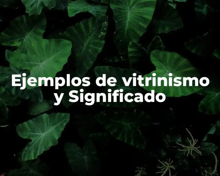 Ejemplos de vitrinismo y Significado