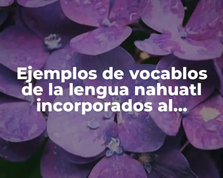 Ejemplos de vocablos de la lengua nahuatl incorporados al español.
