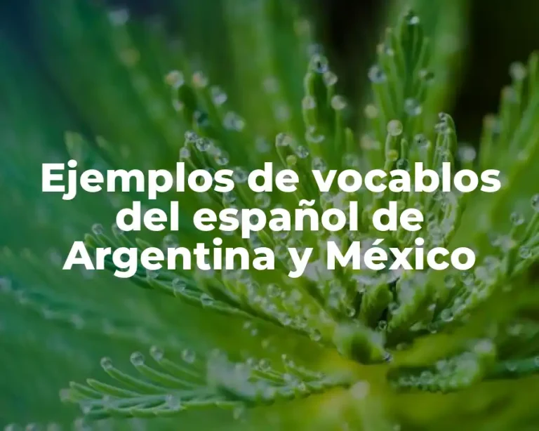 Ejemplos de vocablos del español de Argentina y México