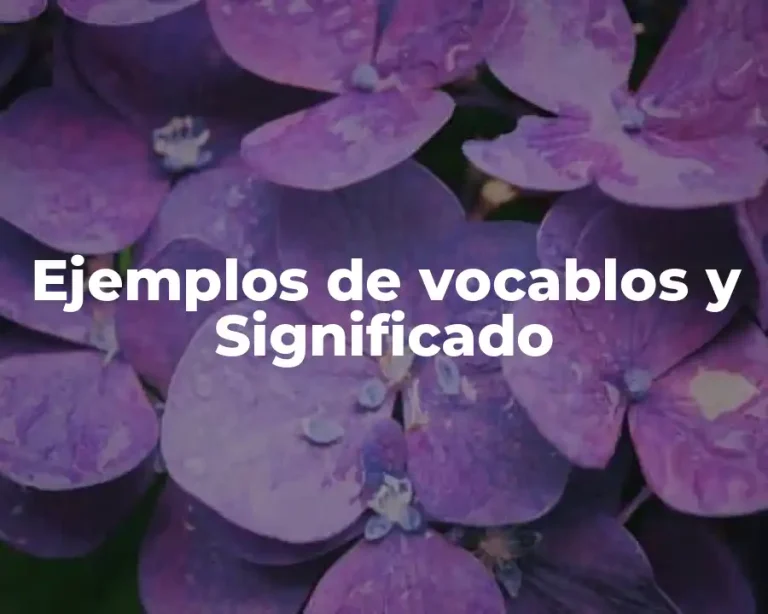 Ejemplos de vocablos y Significado