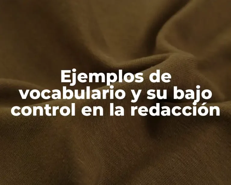 Ejemplos de vocabulario y su bajo control en la redacción