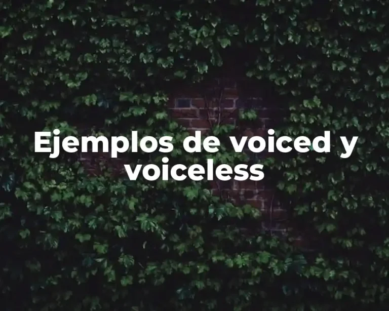 Ejemplos de voiced y voiceless