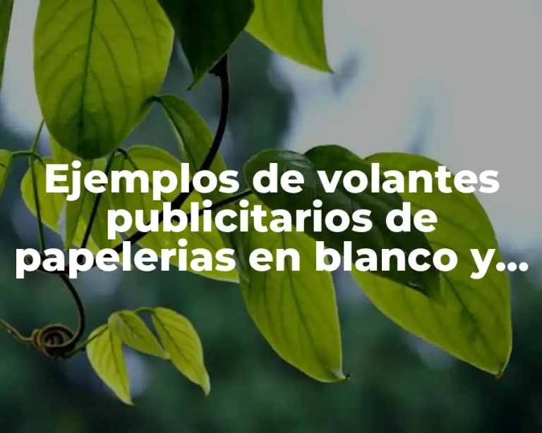 Ejemplos de volantes publicitarios de papelerias en blanco y negro