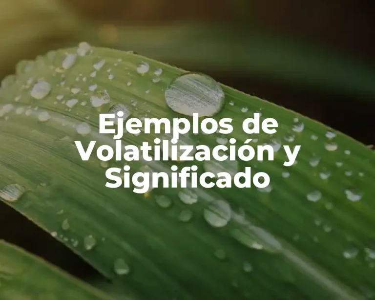 Ejemplos de Volatilización y Significado