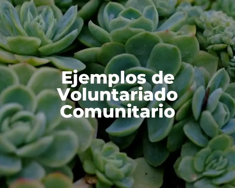 Ejemplos de Voluntariado Comunitario