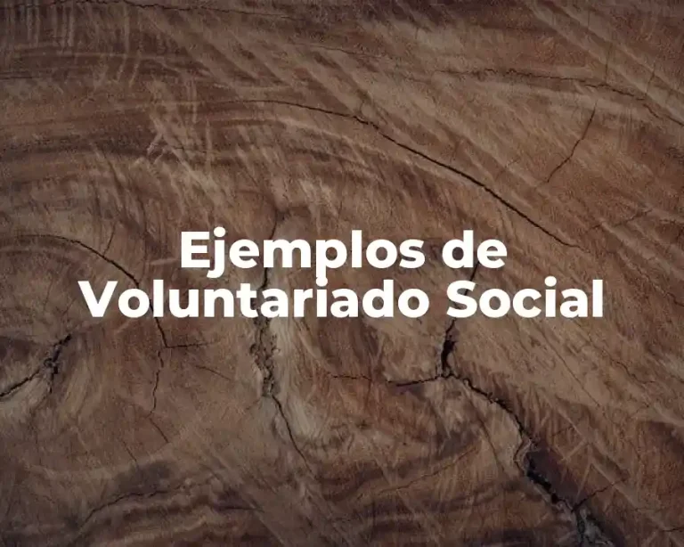 Ejemplos de Voluntariado Social