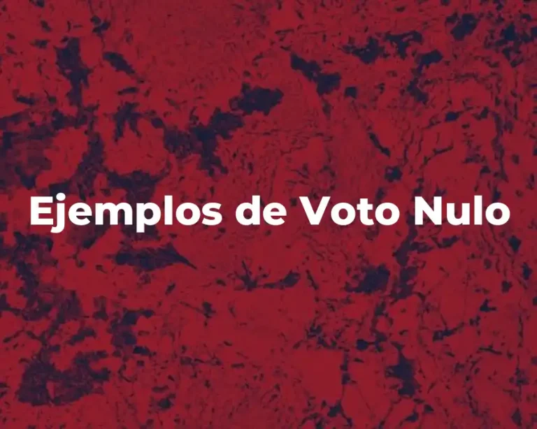 Ejemplos de Voto Nulo