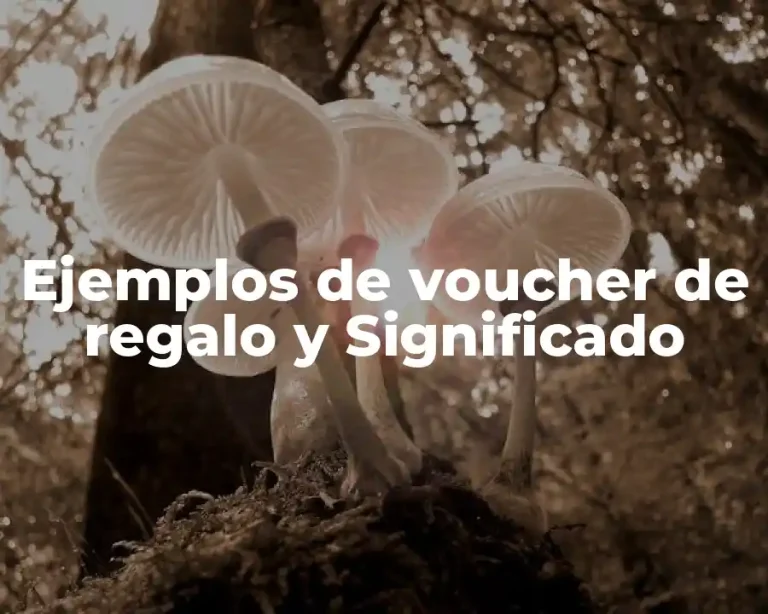 Ejemplos de voucher de regalo y Significado