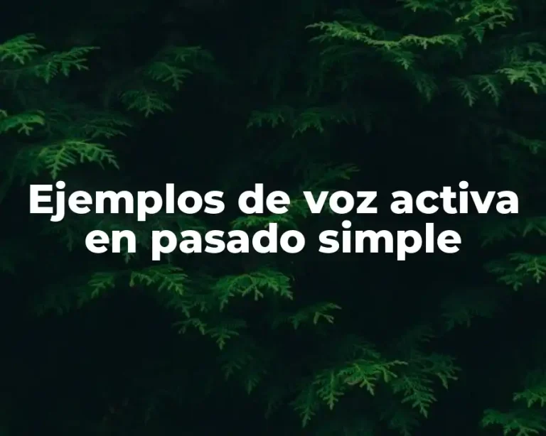 Ejemplos de voz activa en pasado simple