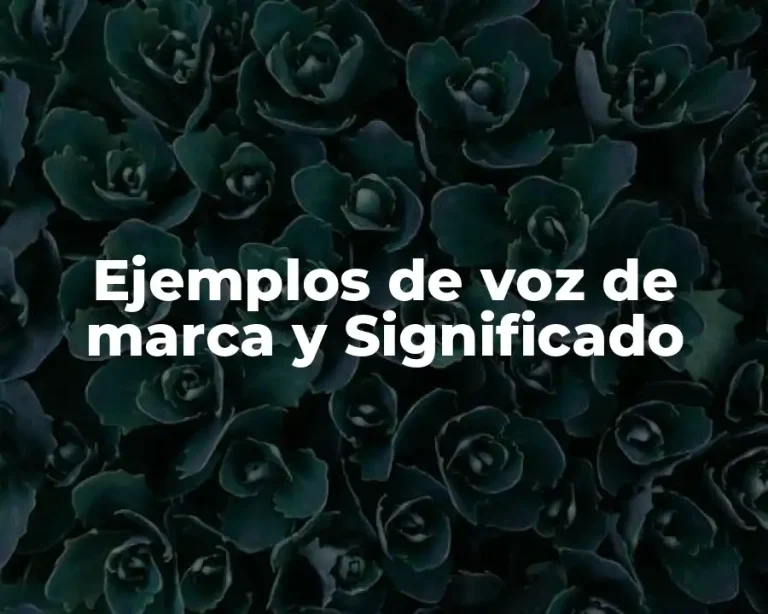Ejemplos de voz de marca y Significado