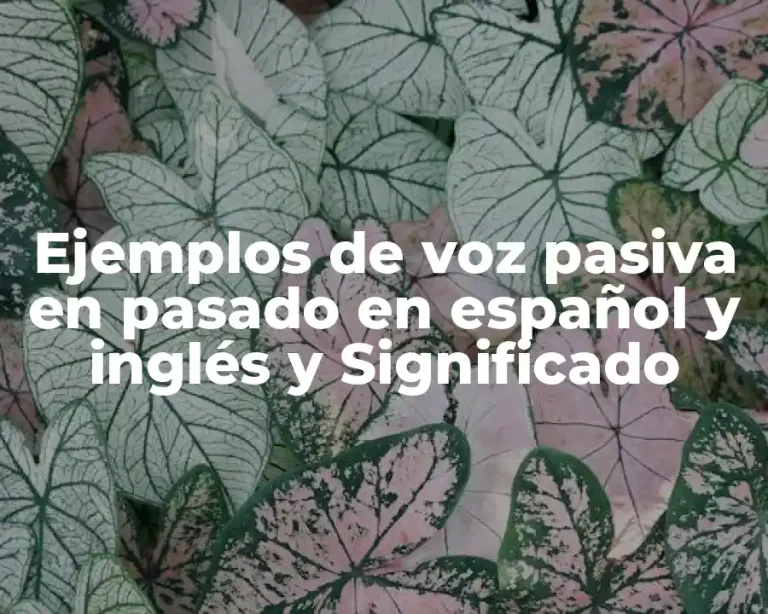 Ejemplos de voz pasiva en pasado en español y inglés y Significado