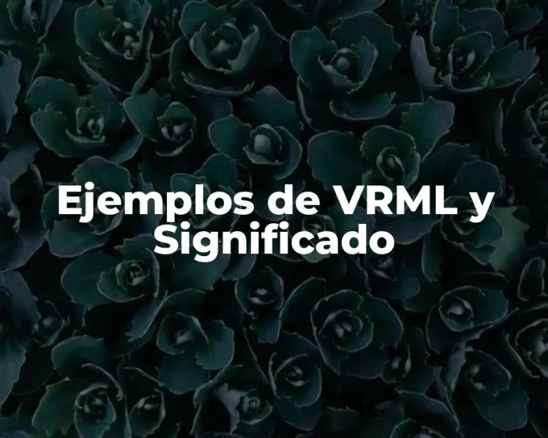 Ejemplos de VRML y Significado