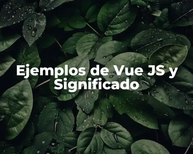 Ejemplos de Vue JS y Significado