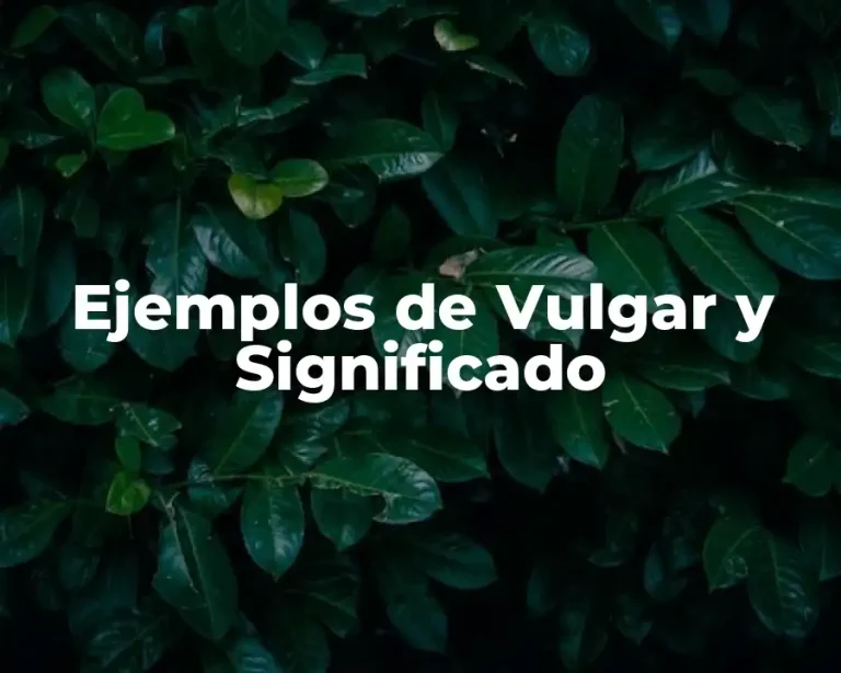 Ejemplos de Vulgar y Significado
