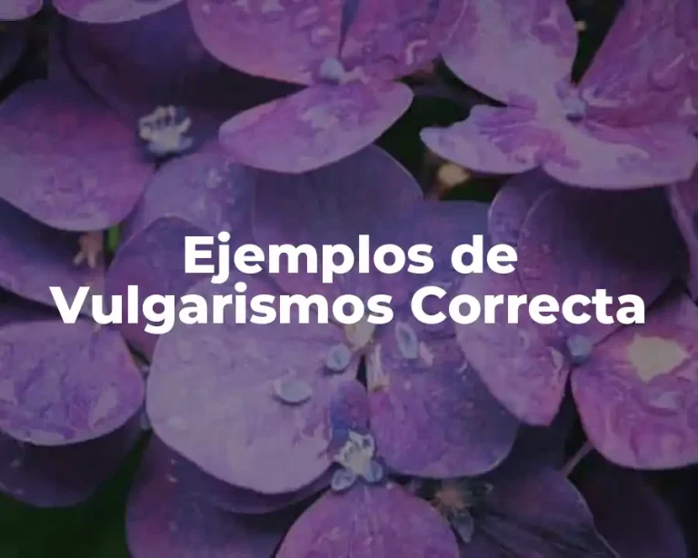 Ejemplos de Vulgarismos Correcta