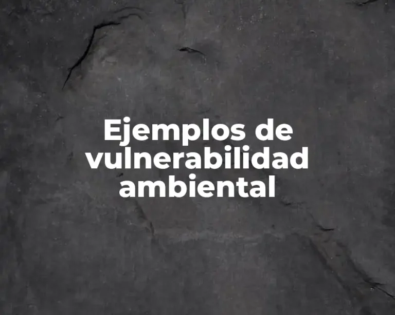 Ejemplos de vulnerabilidad ambiental