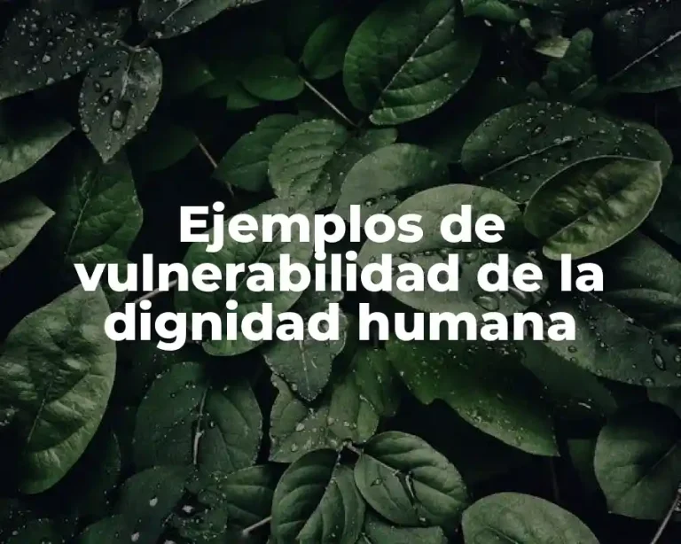Ejemplos de vulnerabilidad de la dignidad humana