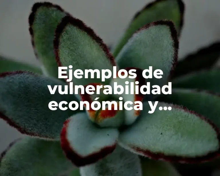 Ejemplos de vulnerabilidad económica y Significado