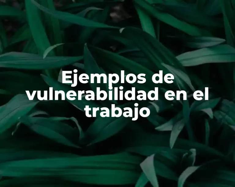 Ejemplos de vulnerabilidad en el trabajo