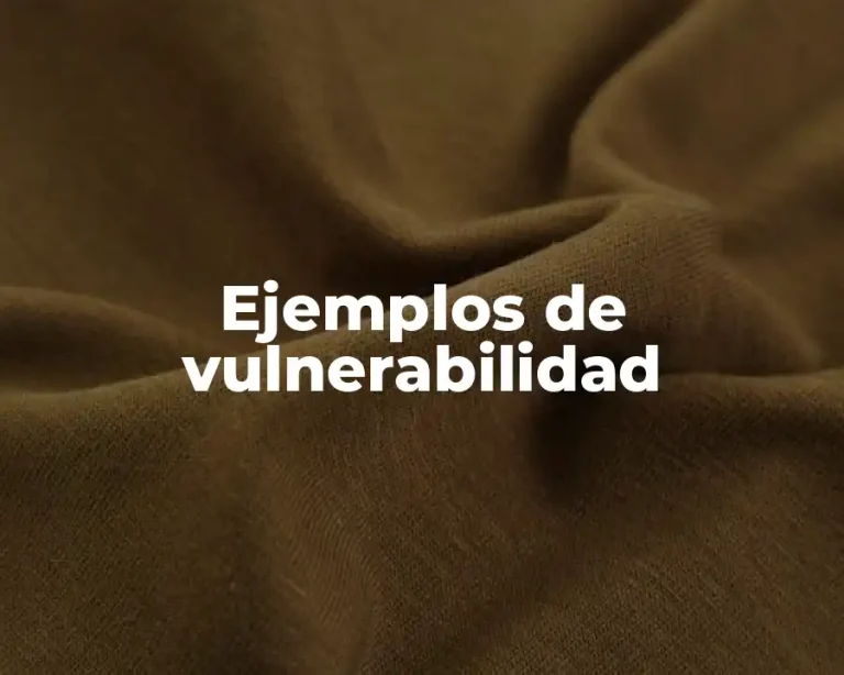 Ejemplos de vulnerabilidad