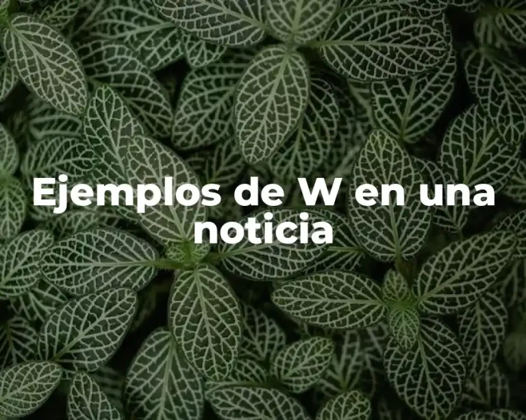 Ejemplos de W en una noticia