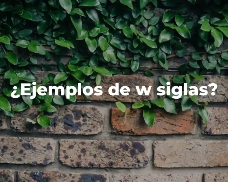 ¿Ejemplos de w siglas?