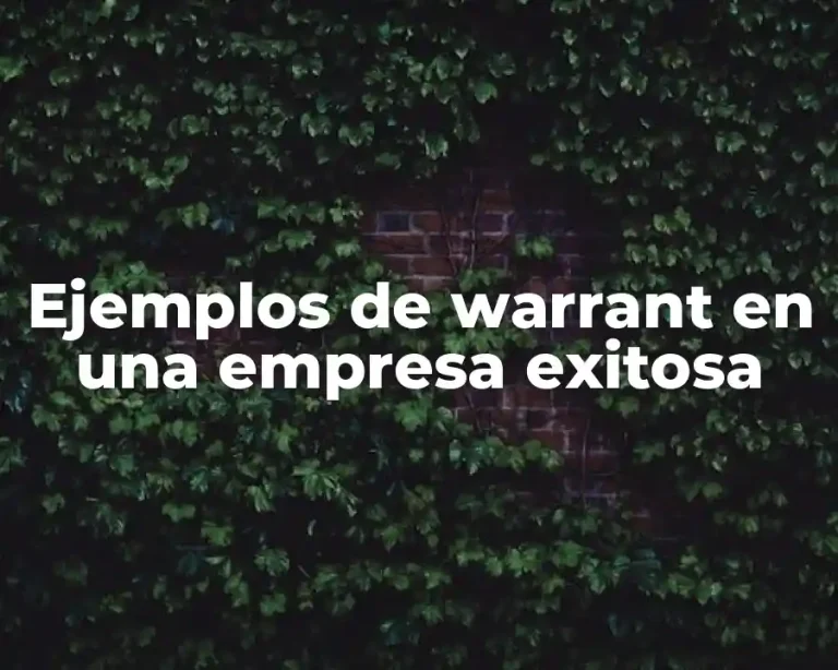 Ejemplos de warrant en una empresa exitosa