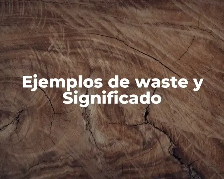 Ejemplos de waste y Significado