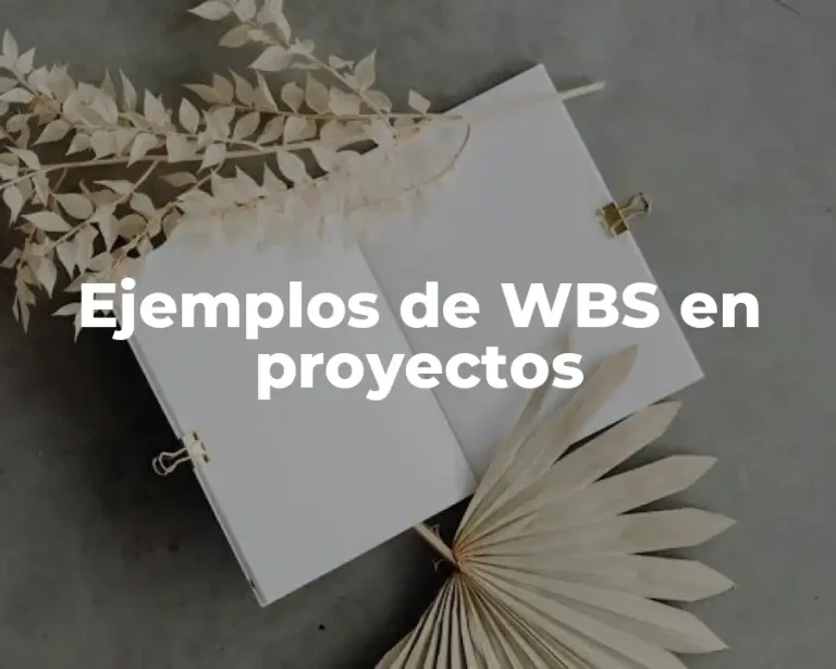 Ejemplos de WBS en proyectos